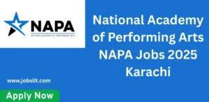 National Academy of Performing Arts NAPA Jobs 2025 Karachi